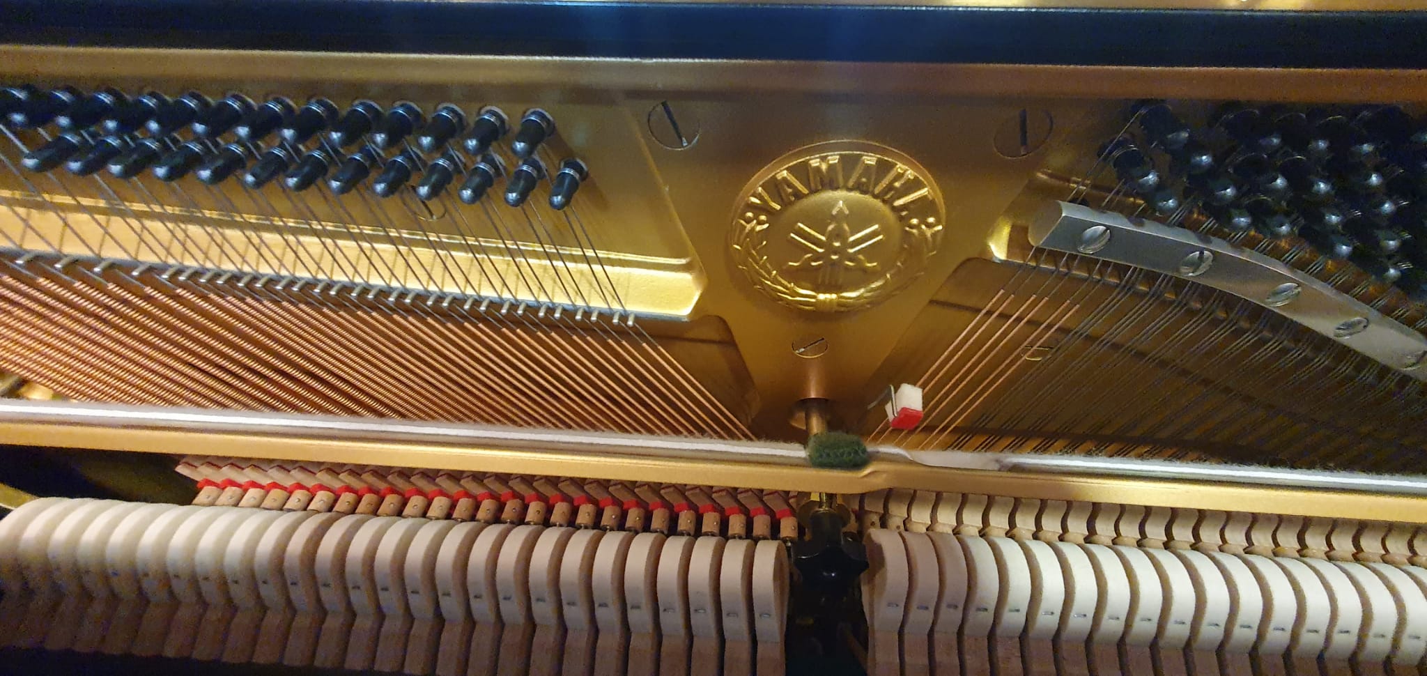 WhatsApp Image 2021-06-11 at 10.46.39 (1)