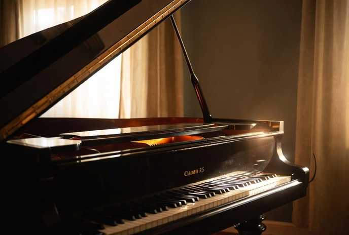 Grok Video 15c54545 3957 4360 B9b3 F4a66e742744 1 Mp4 Image