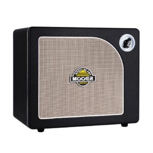 mooer hornet 30 black